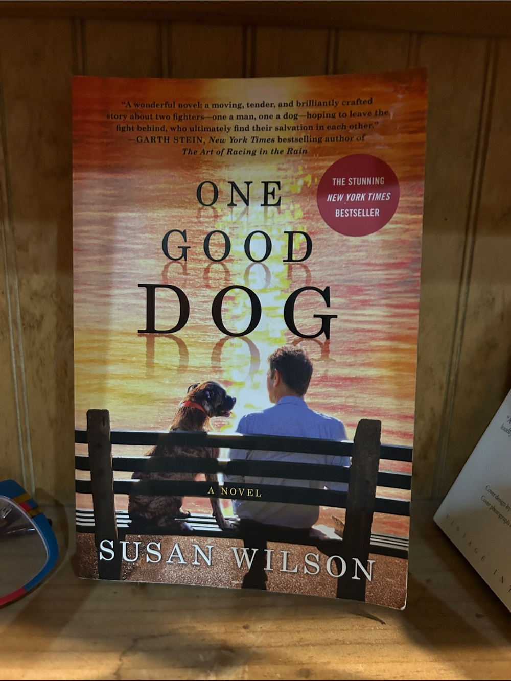 One Good Dog-A Novel by Susan Wilson